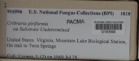 Image Associated With the Occurence